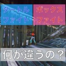 ボックスファイトとタートルファイトの違い