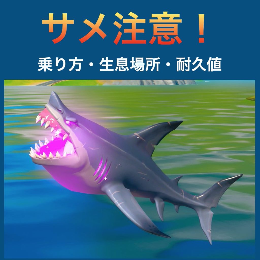 サメ_攻略